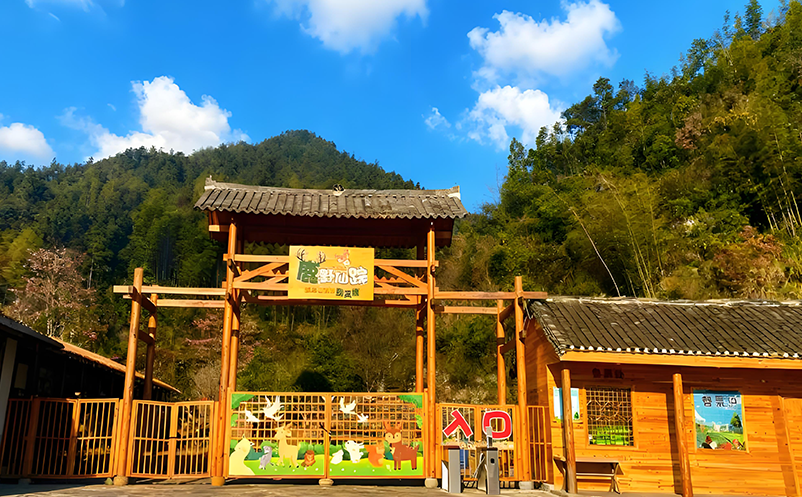 适配多场景：景区门禁系统在不同地形下的部署方案