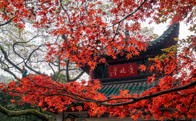 易景通助力岳麓山建设无感通行智慧票务系统